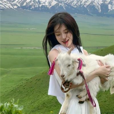 乐高史酷比：好莱坞闹鬼记